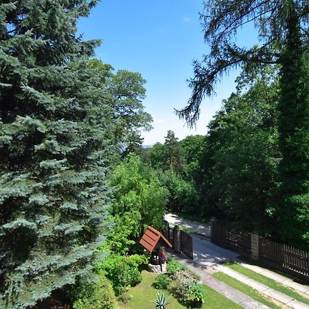 Staszica16 Złoty Stok Exterior foto