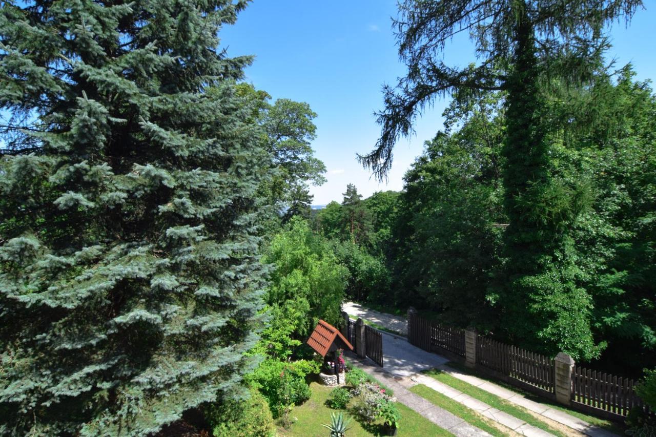 Staszica16 Złoty Stok Exterior foto